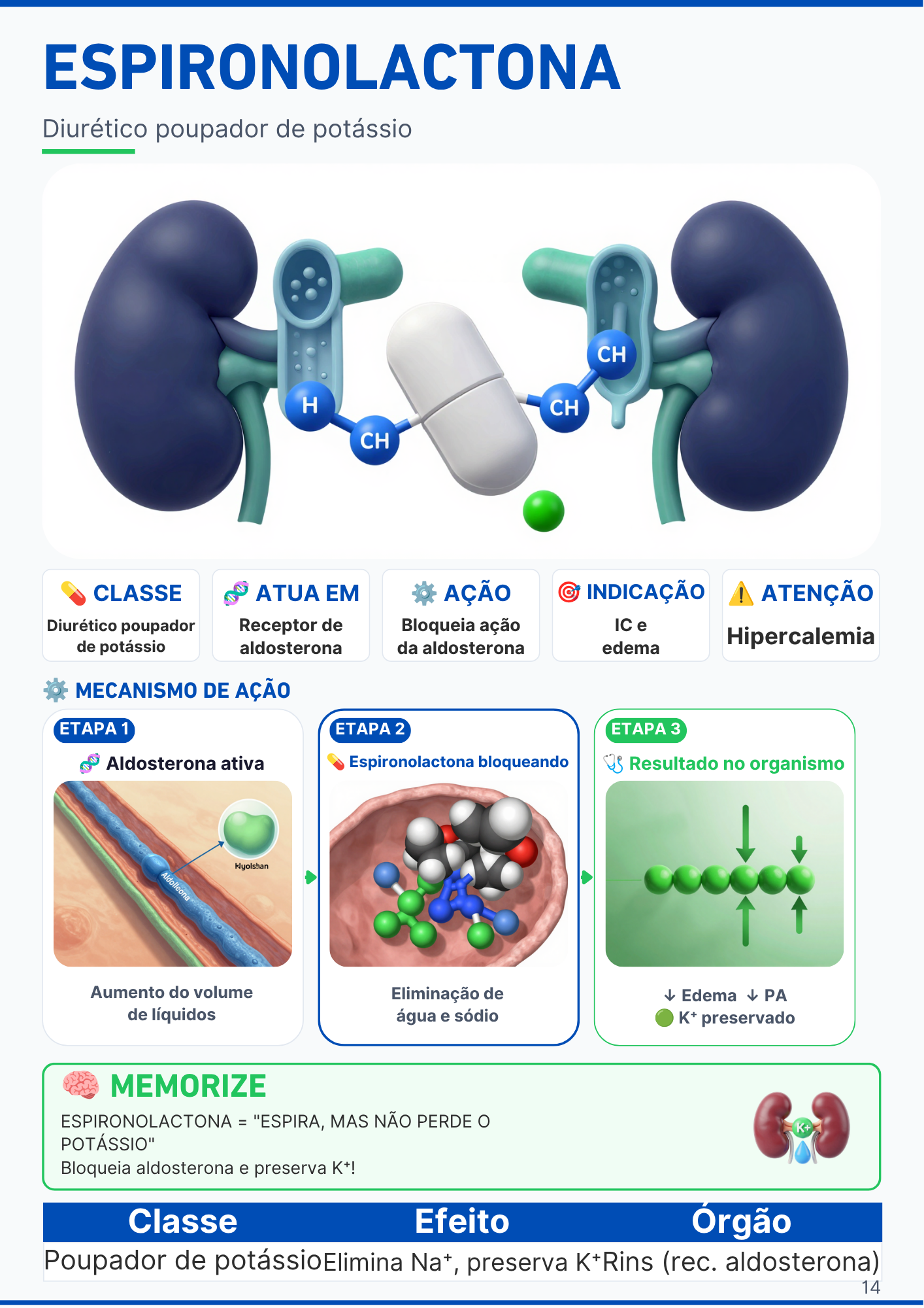 Capítulo do Sistema Respiratório