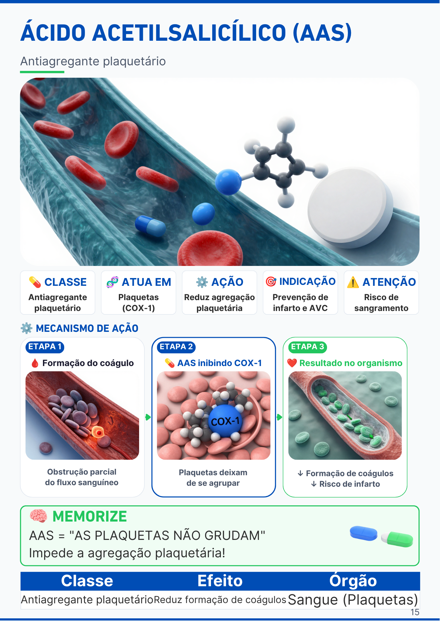 Capítulo do Sistema Respiratório