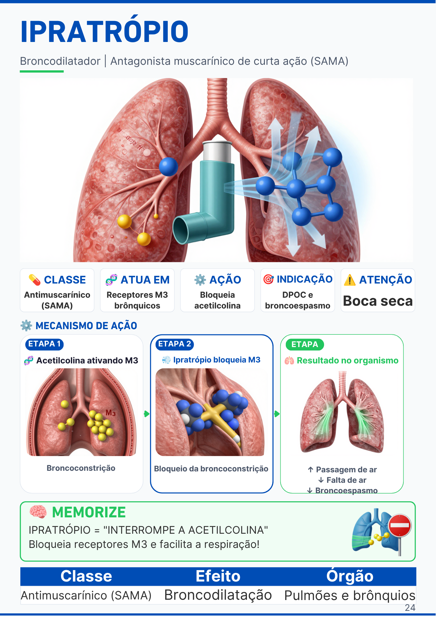 Página do medicamento Losartana com mecanismo de ação em 3 etapas