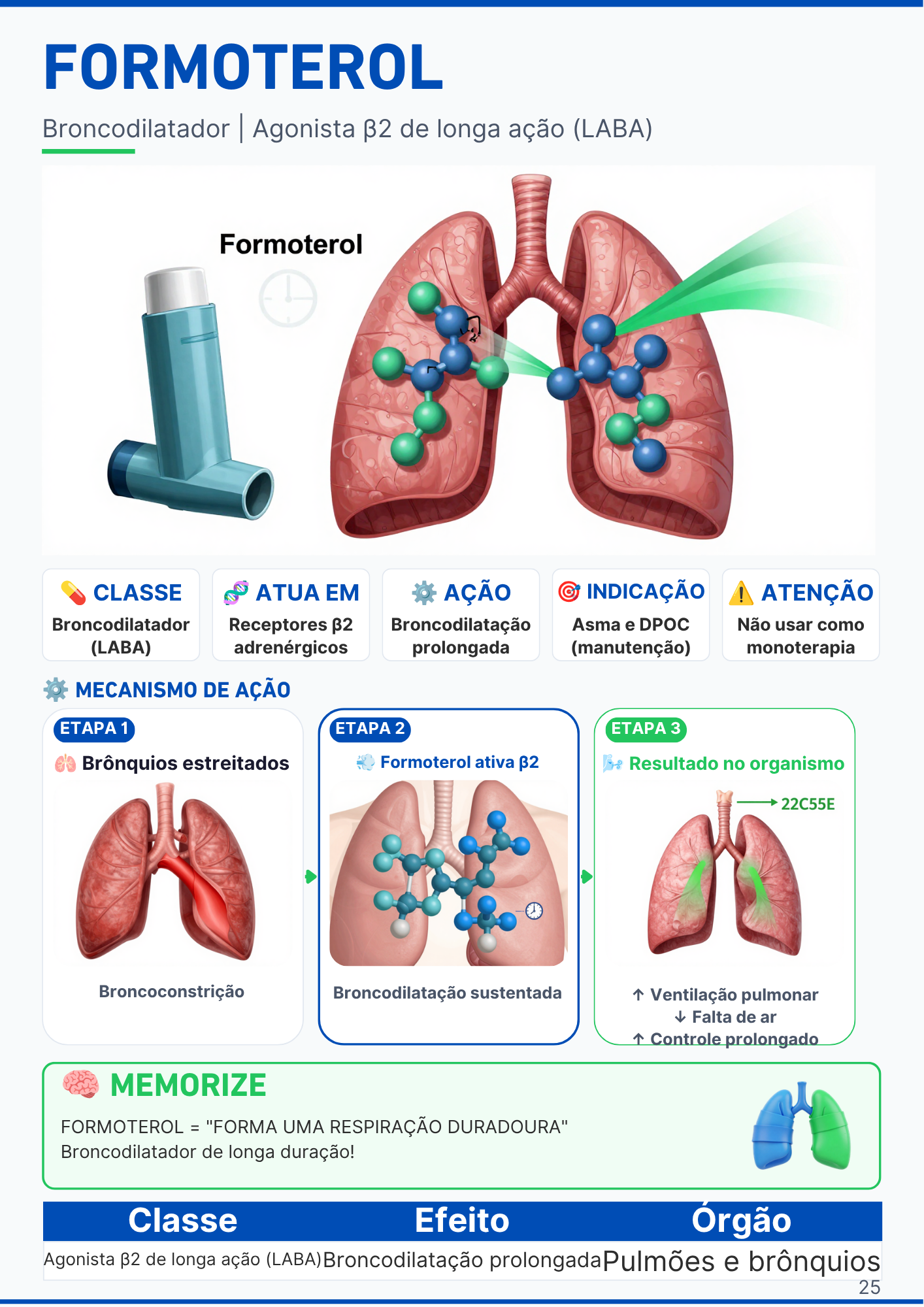 Página do medicamento Salbutamol com mecanismo de ação ilustrado