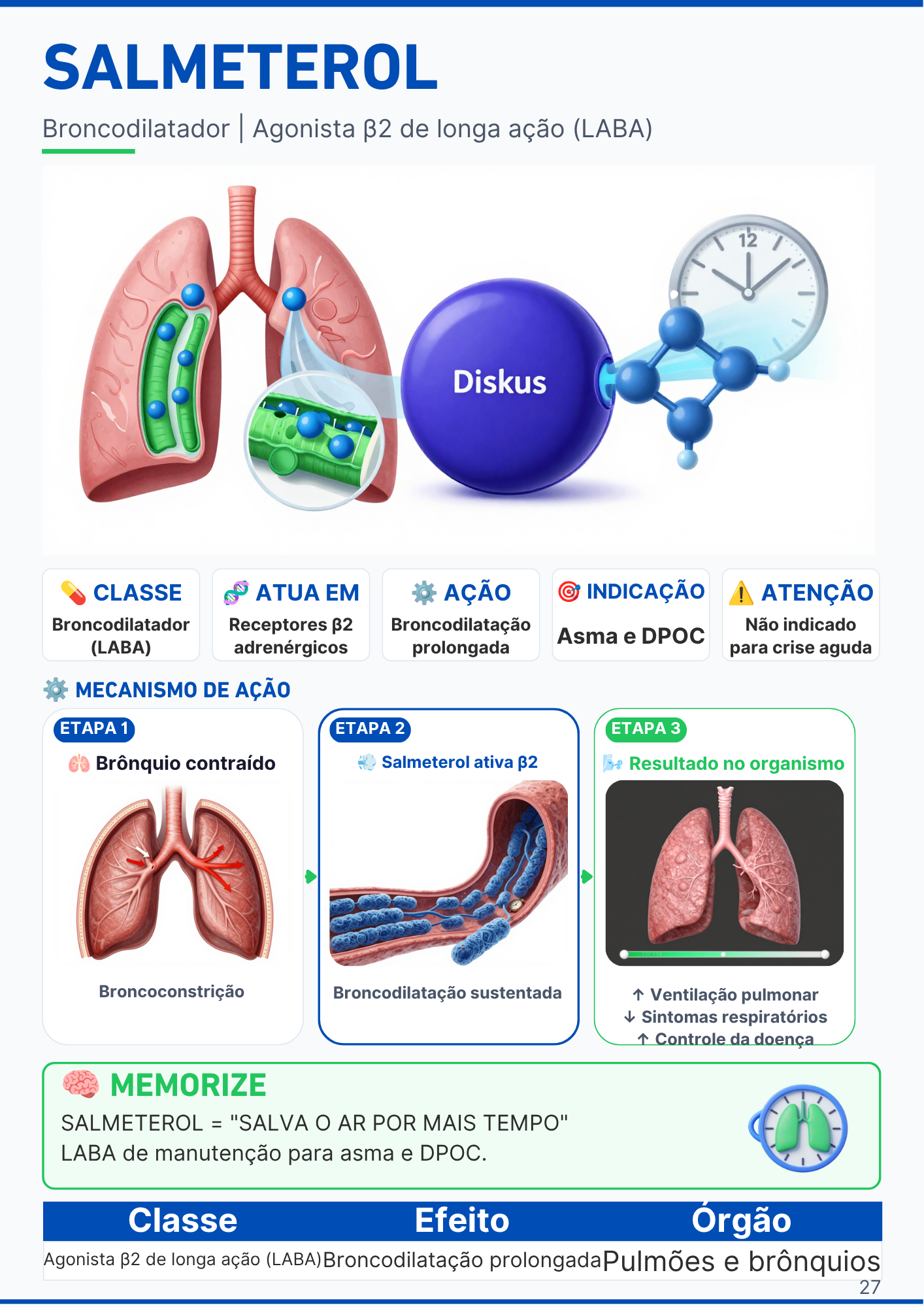 Capítulo do Sistema Respiratório com ilustração dos pulmões