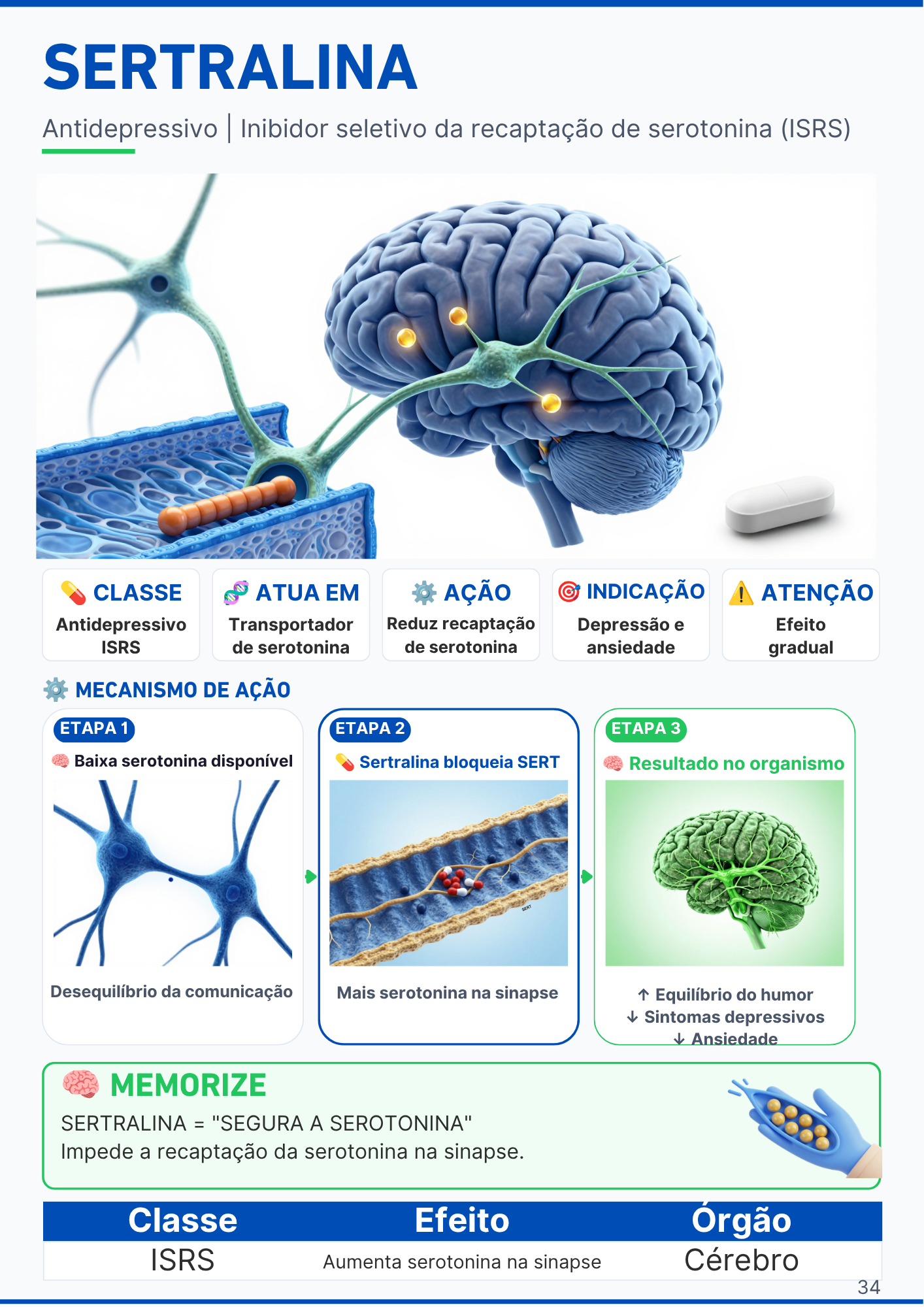 Capítulo do Sistema Respiratório