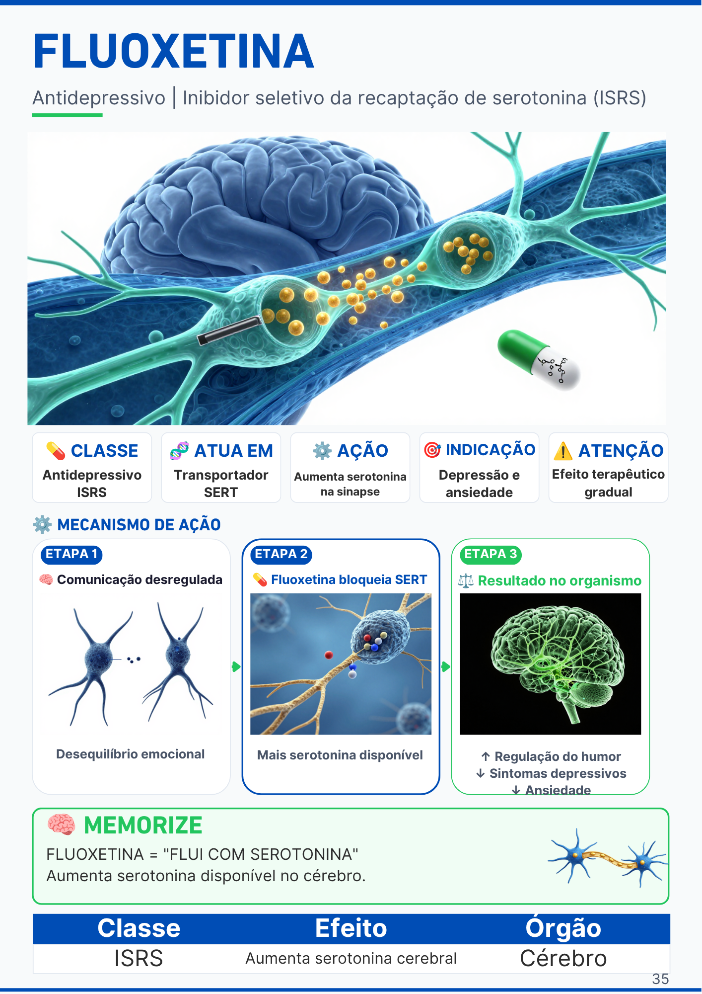 Capítulo do Sistema Respiratório