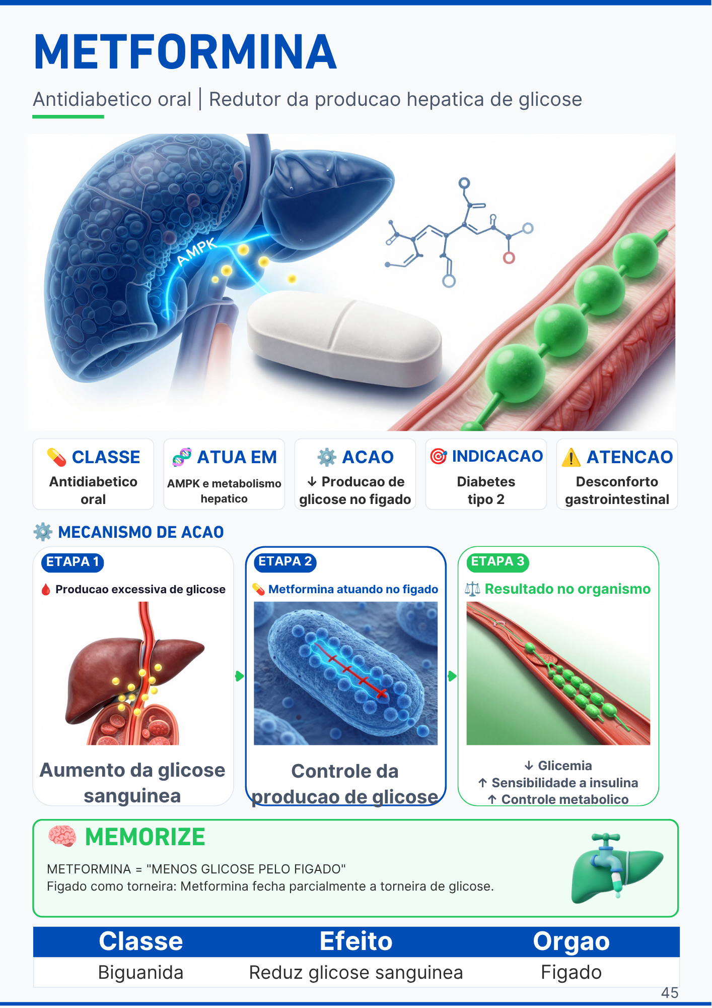 Página do medicamento Salbutamol com mecanismo de ação ilustrado