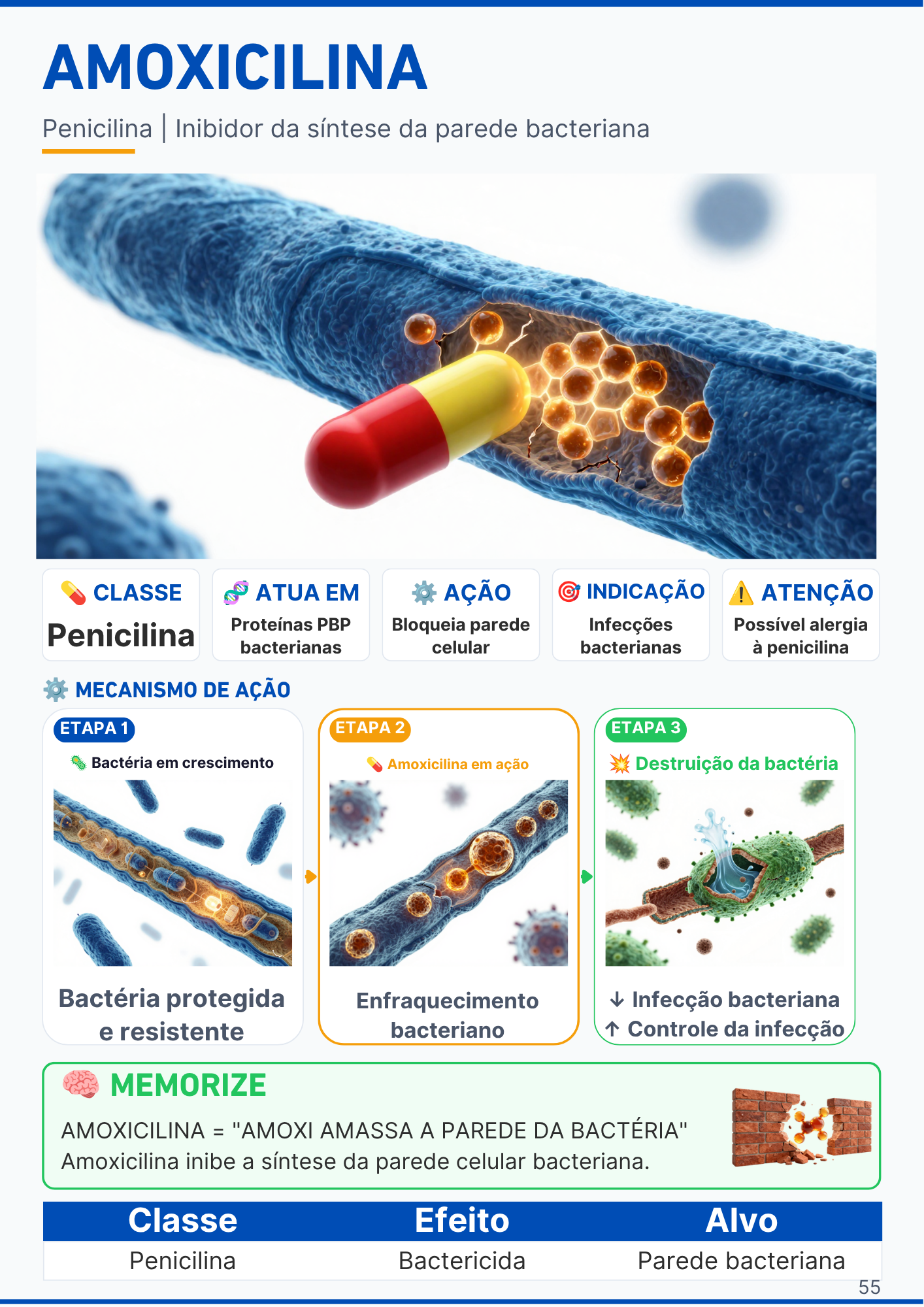 Capítulo do Sistema Respiratório