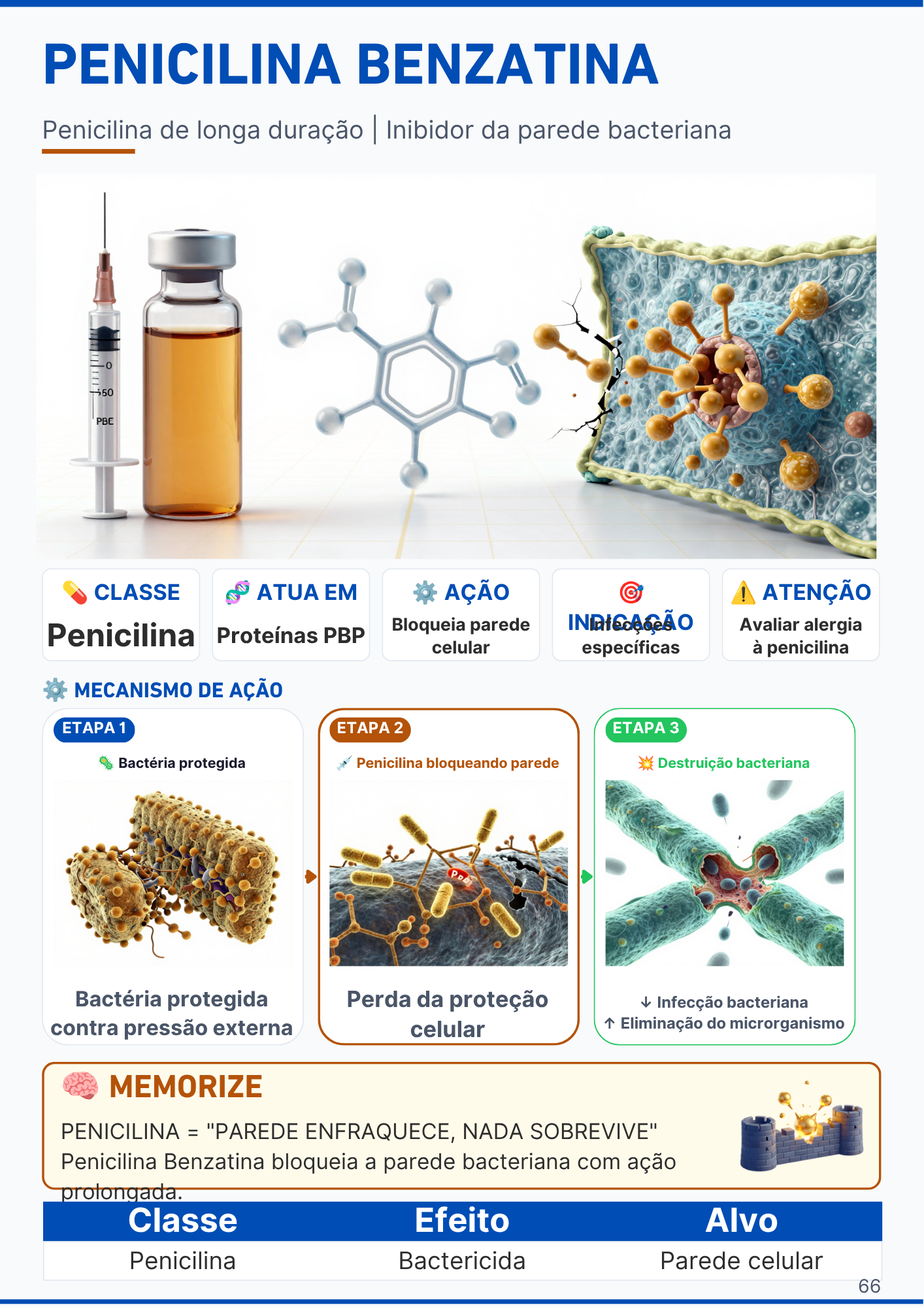 Página do medicamento Salbutamol com mecanismo de ação ilustrado
