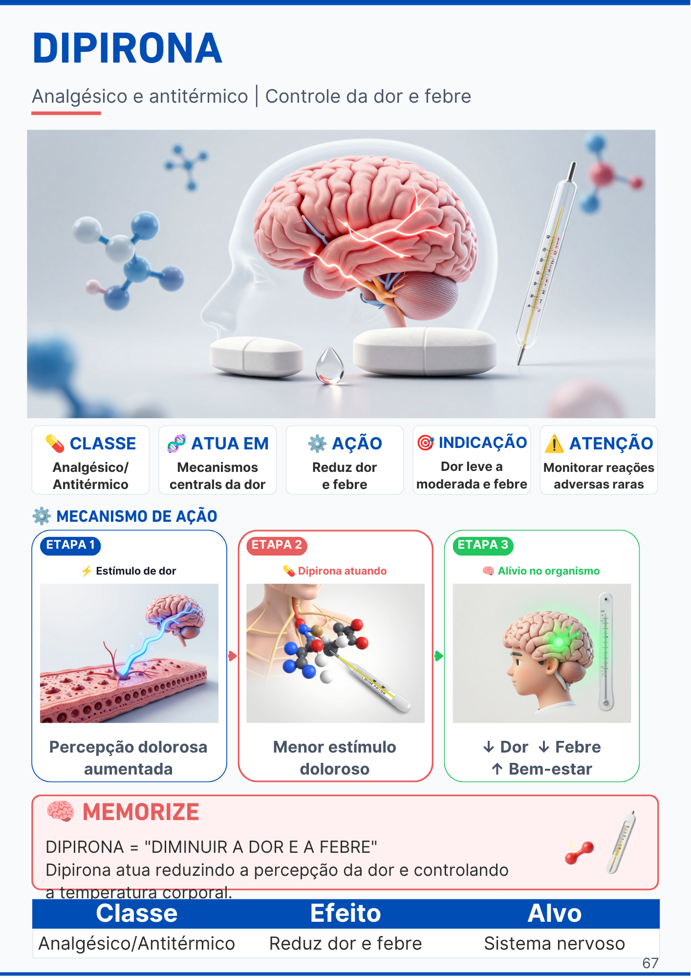 Capítulo do Sistema Respiratório com ilustração dos pulmões