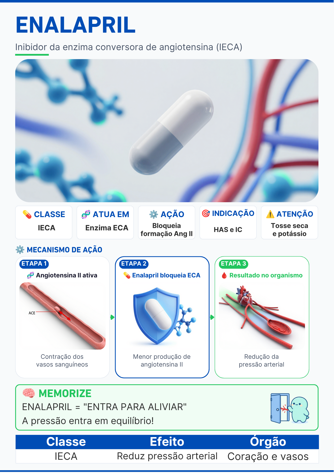 Capítulo do Sistema Respiratório com ilustração dos pulmões