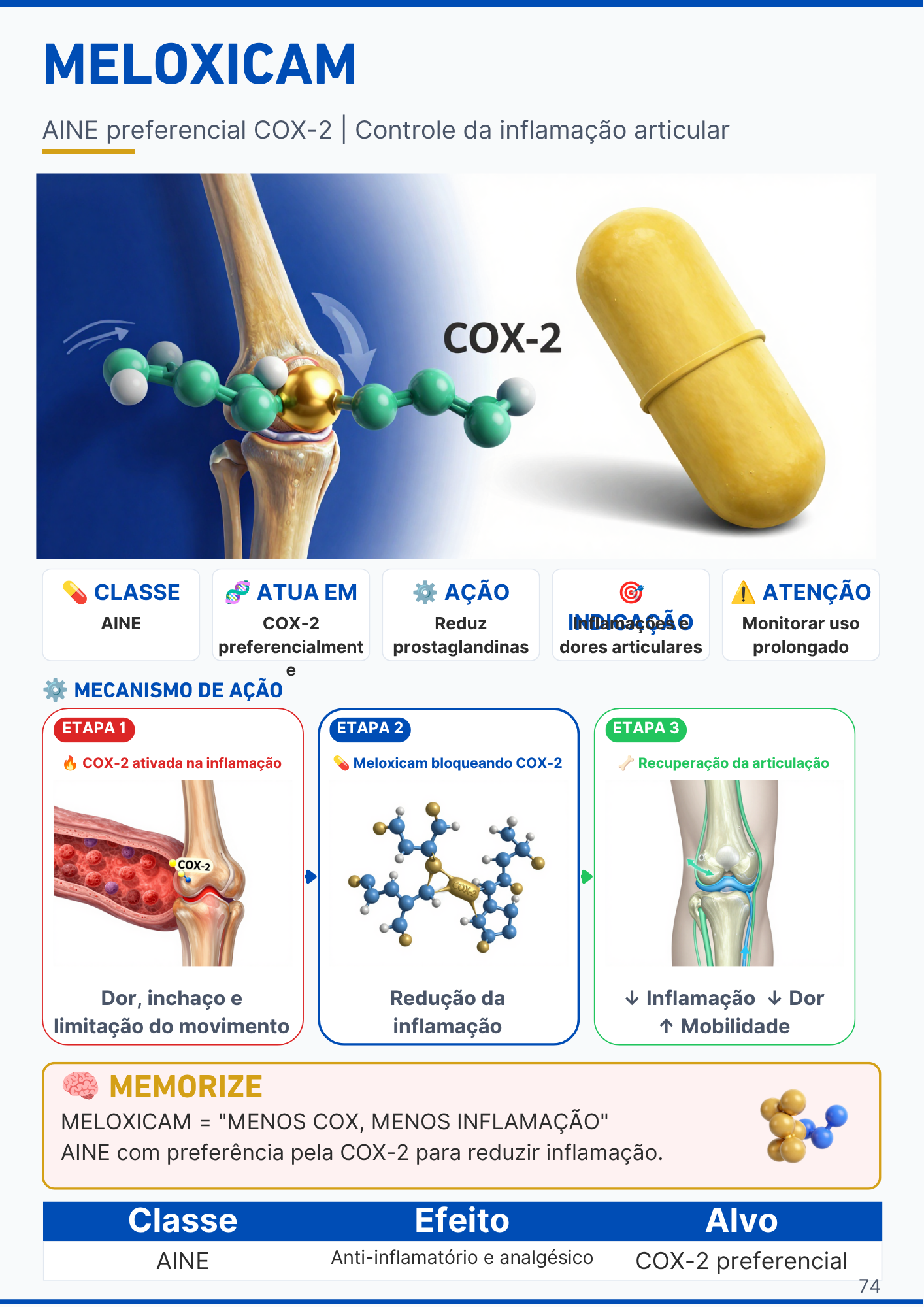 Capítulo do Sistema Respiratório