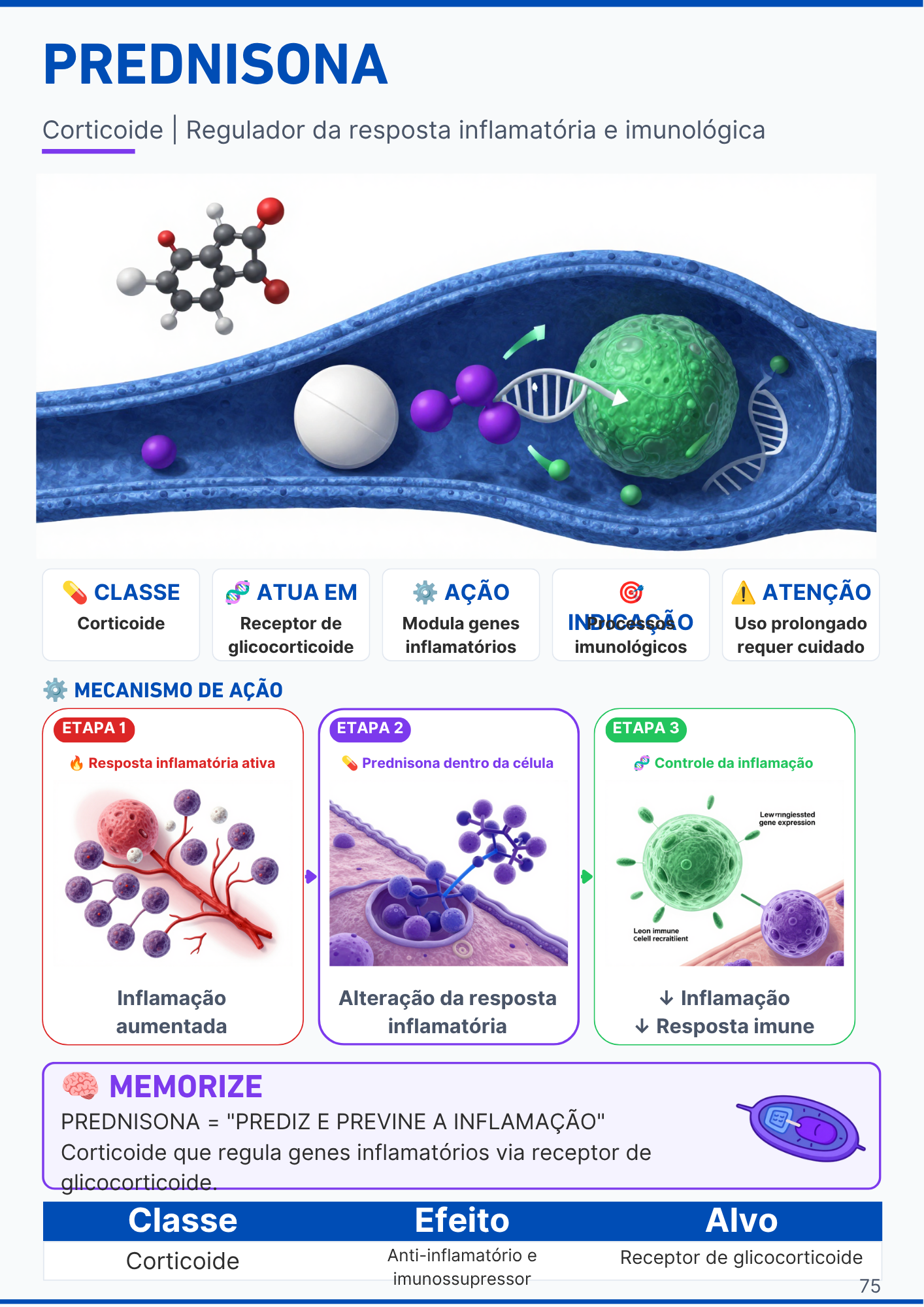 Capítulo do Sistema Respiratório